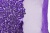 Сетка с пайетками №14, 188 гр/м2, шир.130см, цвет фиолетовый - купить в Бийске. Цена 371.02 руб.
