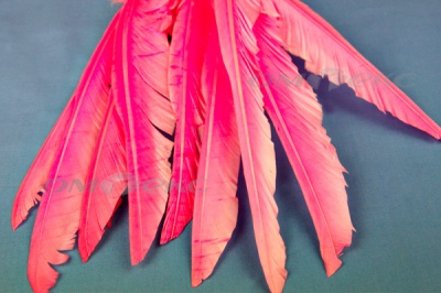 Декоративный Пучок из перьев, перо 25см/розовый - купить в Бийске. Цена: 14.54 руб.