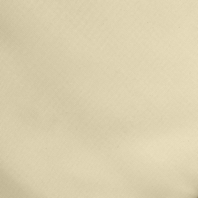 Ткань подкладочная Таффета 14-1014, антист., 53 гр/м2, шир.150см, цвет бежевый - купить в Бийске. Цена 62.37 руб.