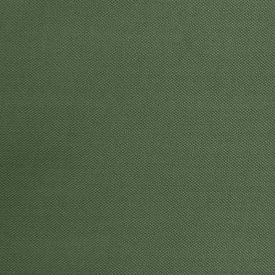 Ткань подкладочная Таффета 19-0511, антист., 54 гр/м2, шир.150см, цвет хаки - купить в Бийске. Цена 60.40 руб.