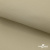 Ткань подкладочная TWILL 230T 14-1108, беж светлый 100% полиэстер,66 г/м2, шир.150 cм - купить в Бийске. Цена 90.59 руб.