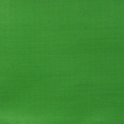 Ткань подкладочная Таффета 17-6153, 48 гр/м2, шир.150см, цвет трава - купить в Бийске. Цена 54.64 руб.