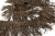 008-коричневый, Бахрома арт.001 шир.10см (упак.12+/-0,5м) - купить в Бийске. Цена: 1 017.33 руб.