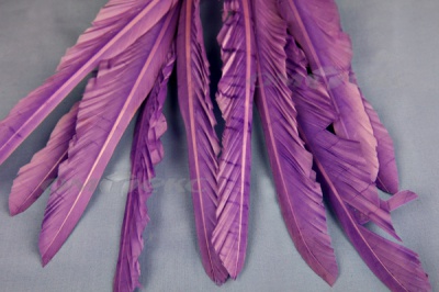 Декоративный Пучок из перьев, перо 25см/фиолетовый - купить в Бийске. Цена: 12.19 руб.