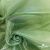 Ткань органза, 100% полиэстр, 28г/м2, шир. 150 см, цв. #27 зеленый - купить в Бийске. Цена 86.24 руб.