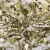 Трикотажное полотно, Сетка с пайетками, шир.130 см, #315, цв.-белый/золото - купить в Бийске. Цена 693.39 руб.