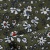 Плательная ткань "Фламенко" 11.2, 80 гр/м2, шир.150 см, принт растительный - купить в Бийске. Цена 259.21 руб.