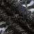 Кружевное полотно XD LACE 1-4, 80 гр/м2, шир.150см, цвет чёрный - купить в Бийске. Цена 245.94 руб.